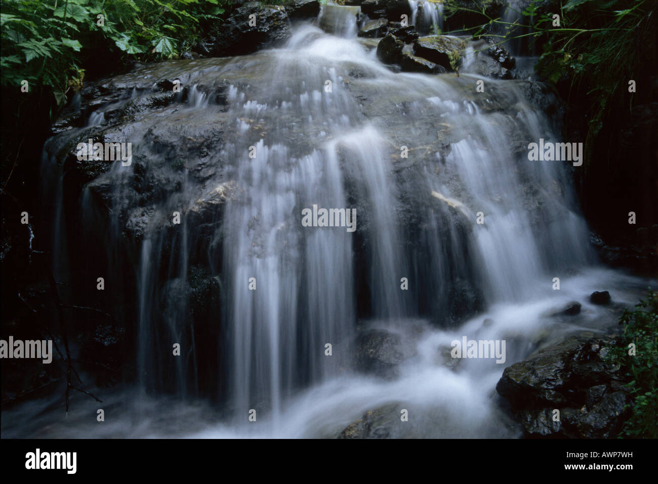 Small waterfall, North Tirol, Austria, Europe Stock Photo