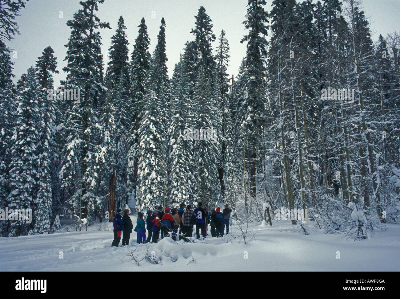 Badger pass ski lodge hires stock photography and images Alamy