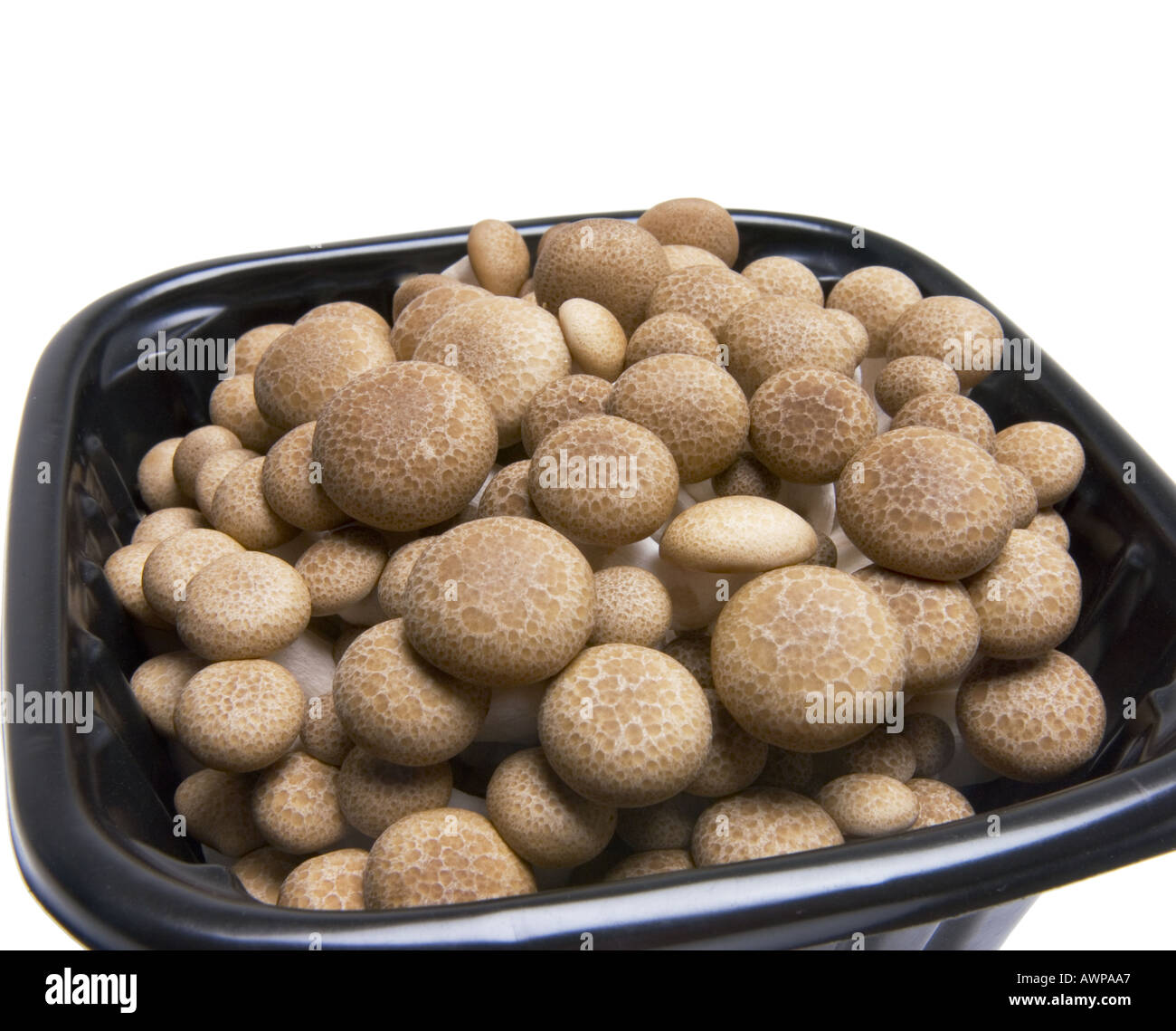 chinese SHIMEJI mushroom in black dark selling box Stock Photo Alamy