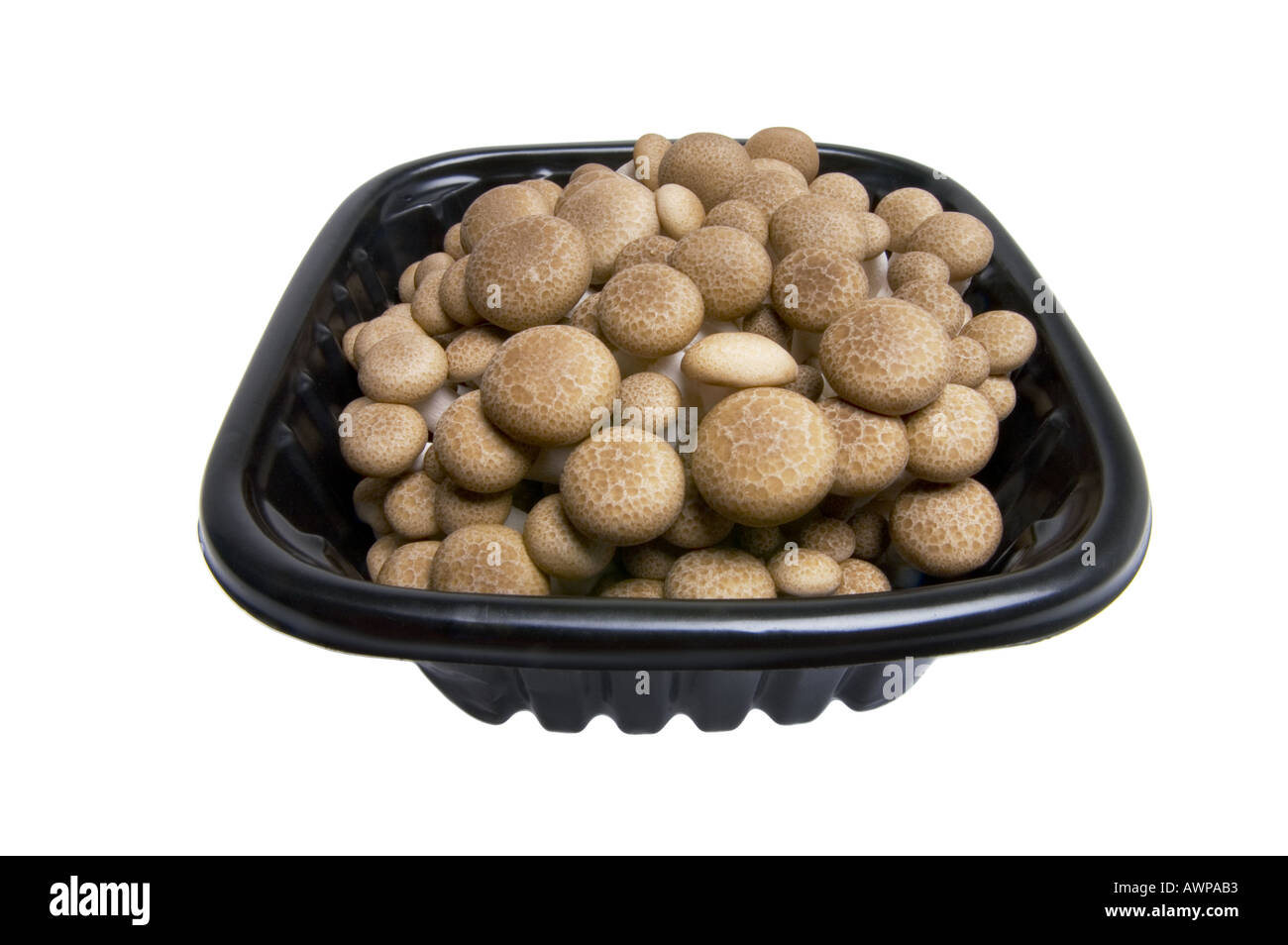 chinese SHIMEJI mushroom in black dark selling box Stock Photo Alamy