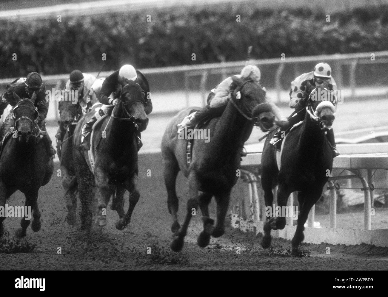 Win and lose Black and White Stock Photos & Images - Alamy