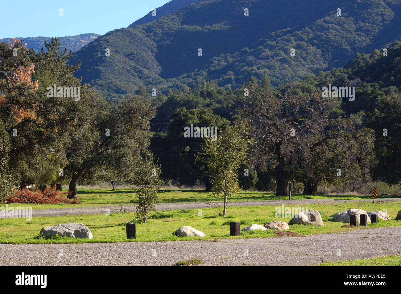 Los Padres National Forest Stock Photo Alamy