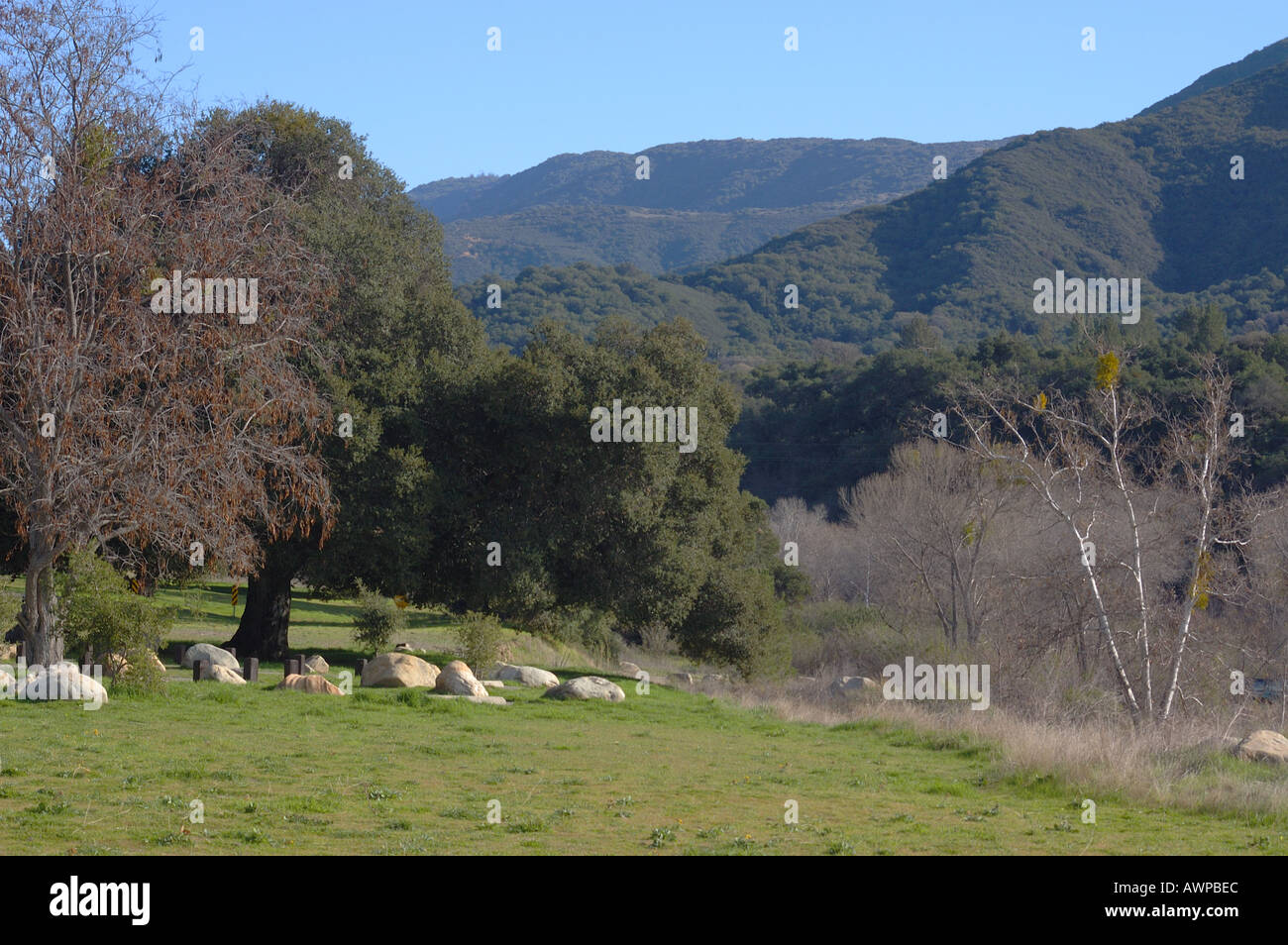 Los Padres National Forest Stock Photo - Alamy