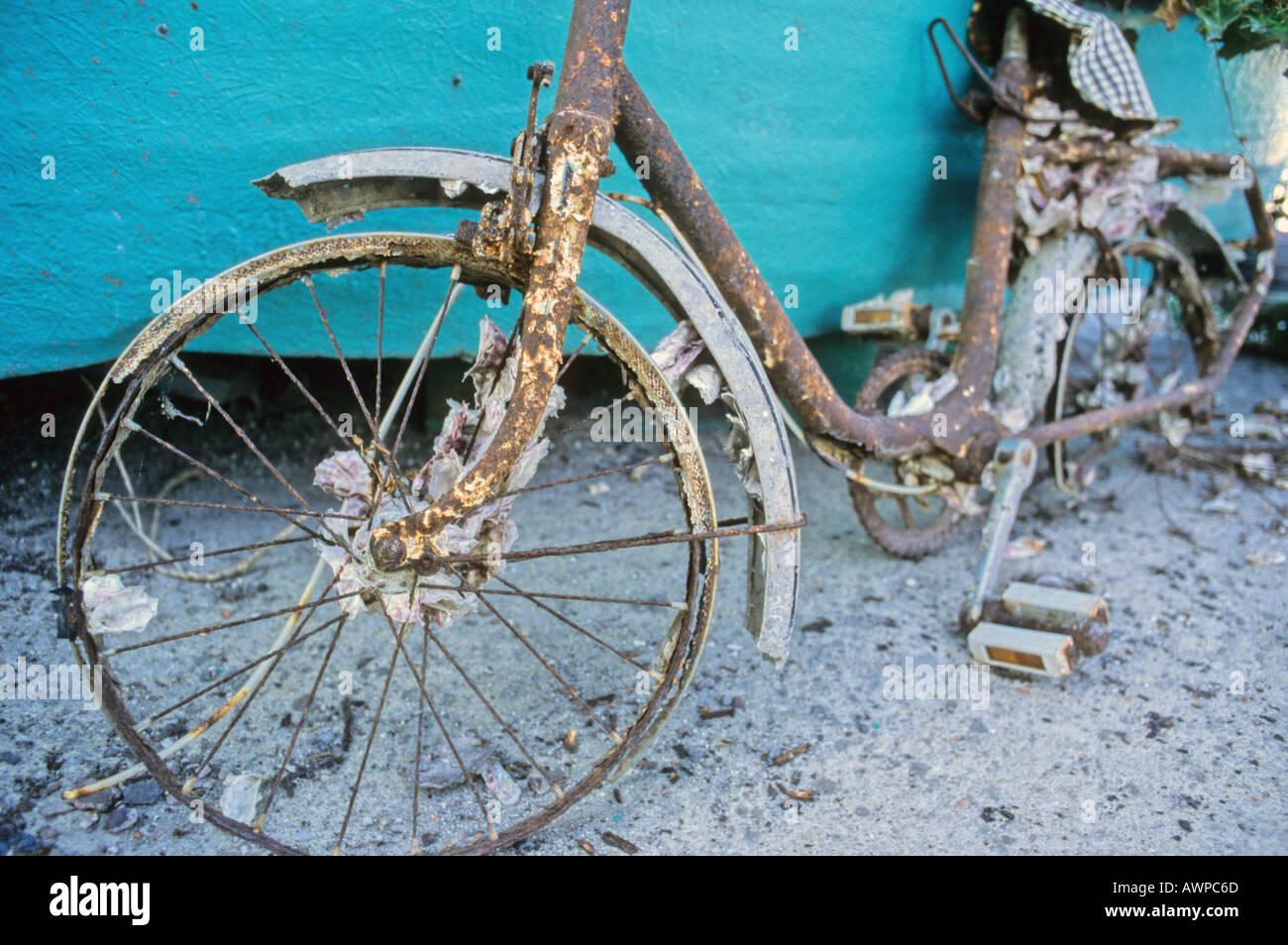 Old bike from ocean  Stock Photo