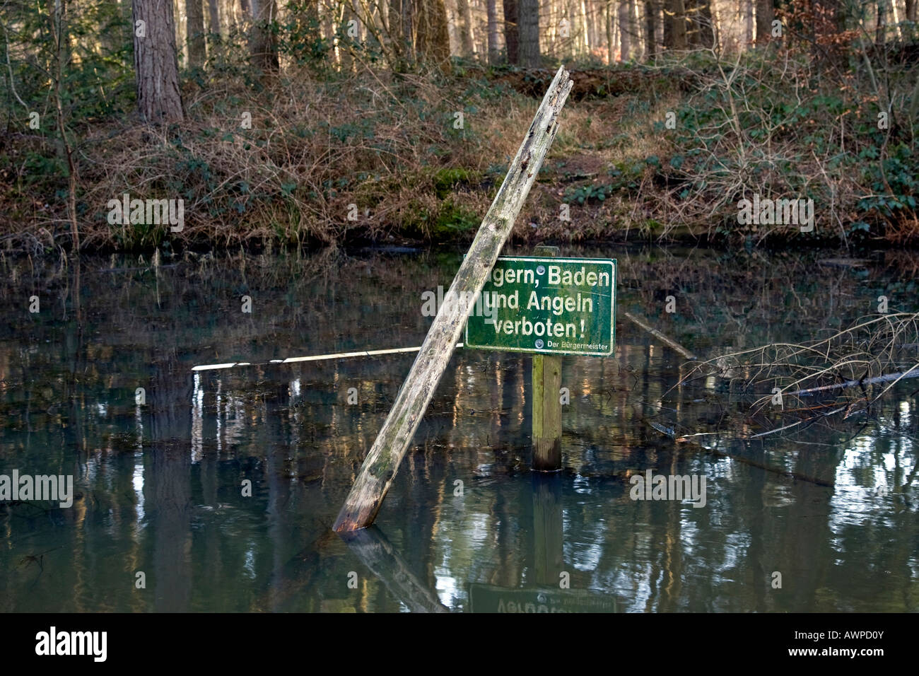 Sign: 'No swimming, no fishing, no camping' at a pond in Eschweiler Forest near Aachen, North Rhine-Westphalia, Germany, Europe Stock Photo
