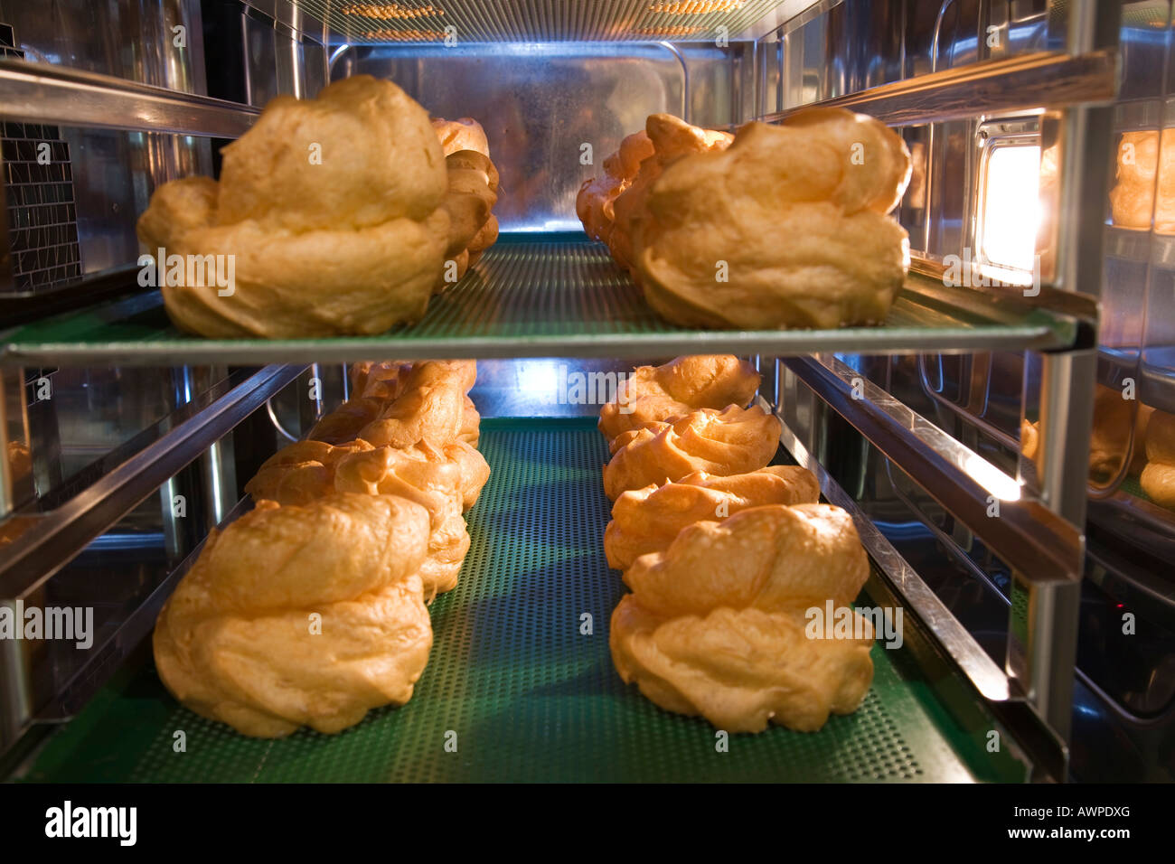 Profiteroles or cream puff pastries, baked golden-brown and fresh out of the oven Stock Photo