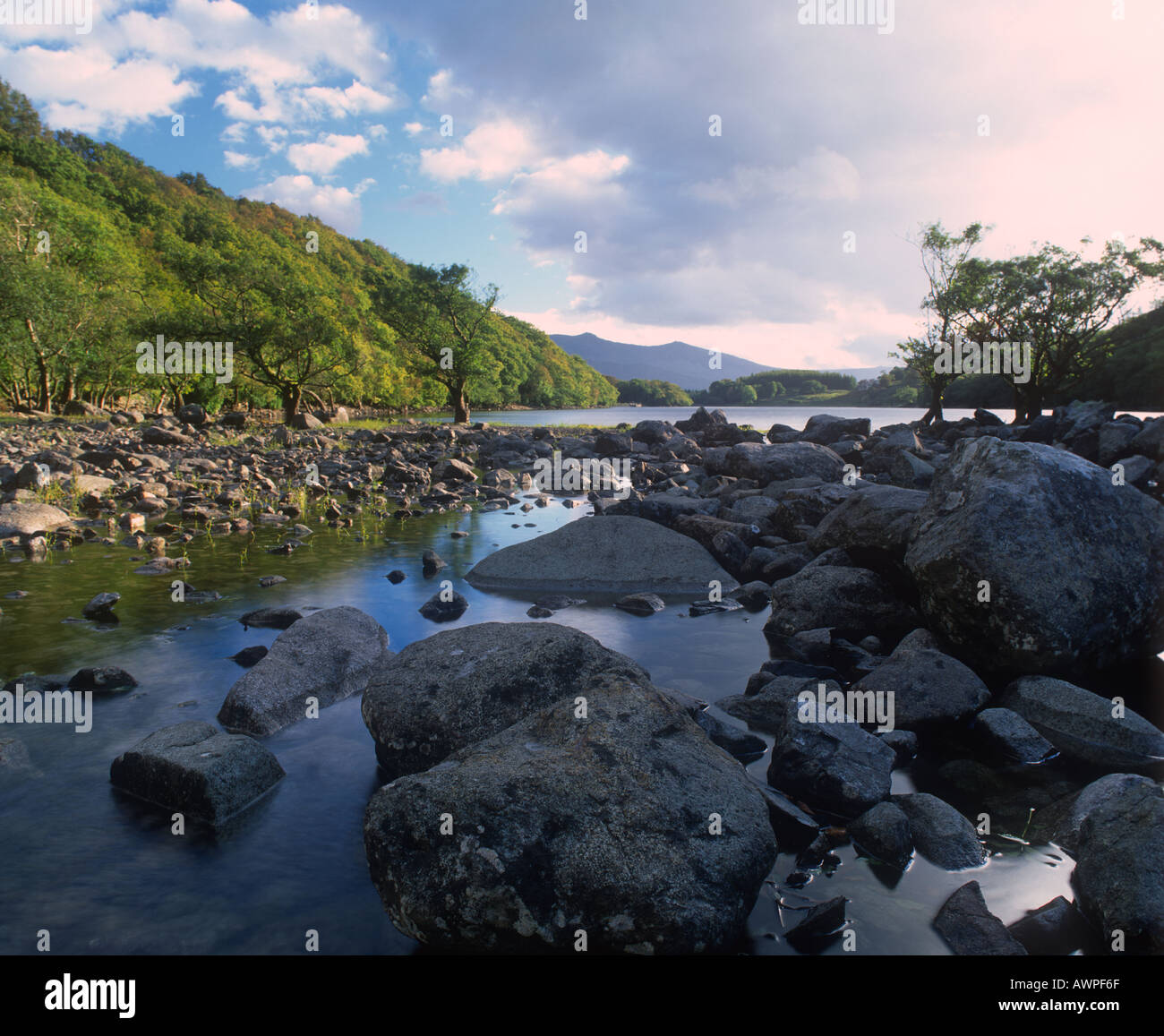 Llyn Cynwch near Dolgellau North West Wales Stock Photo