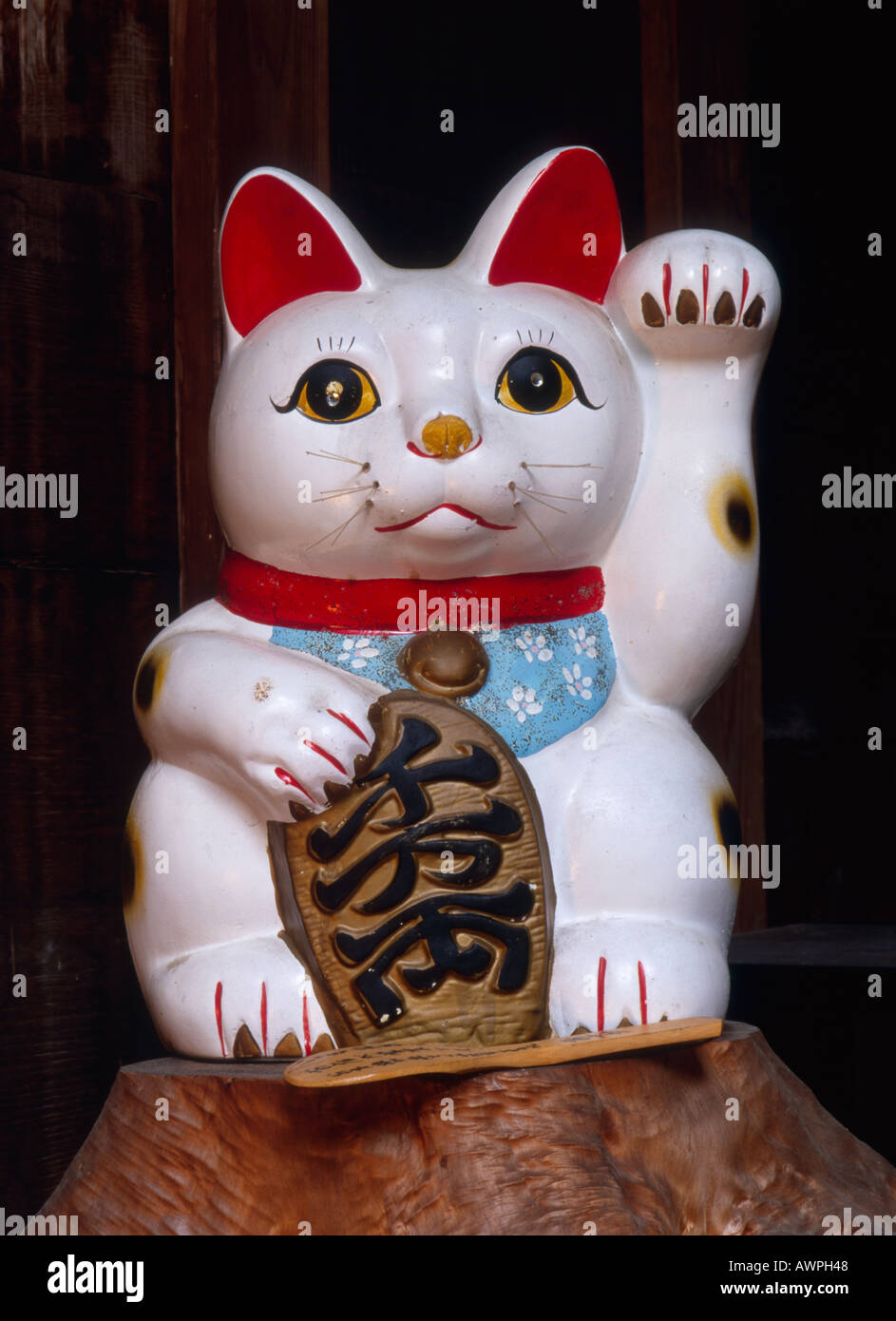 The Japanese beckoning cat is thought to promote prosperity, known as Maneki Neko Stock Photo