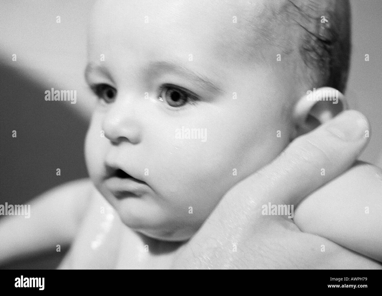 Adult's hands holding baby under arms, close-up, b&w Stock Photo