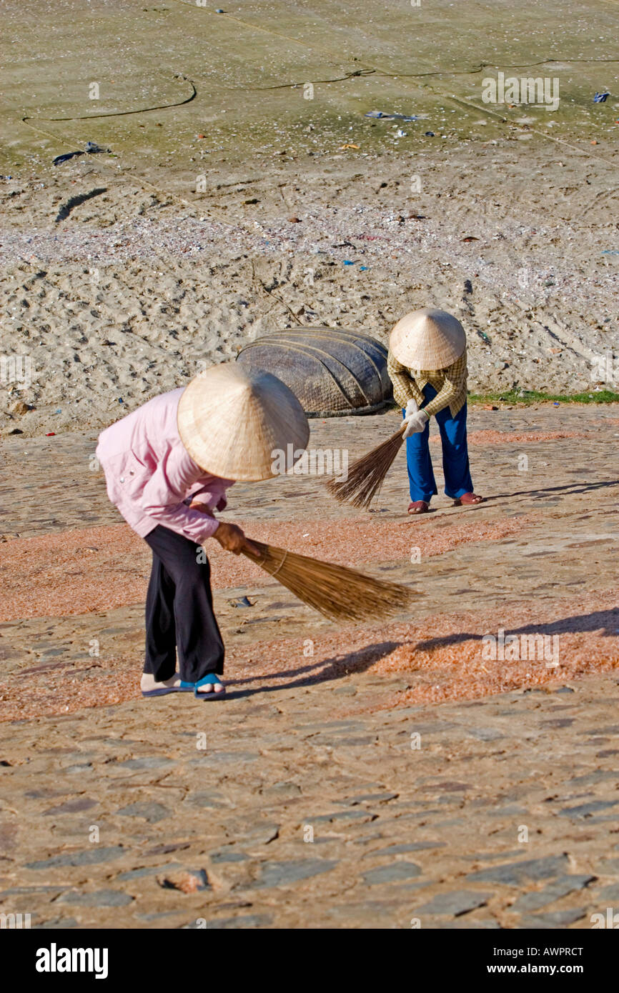 Two Vietnamese women are turning around prawns, Mui Ne, Vietnam, Asia Stock Photo