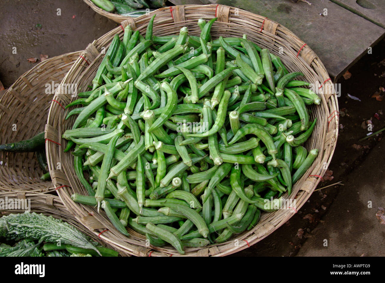 BANGLADESH Okra or ladies fingers on sale at Market at Haluaghat Mymensingh region photo by Sean Sprague Stock Photo