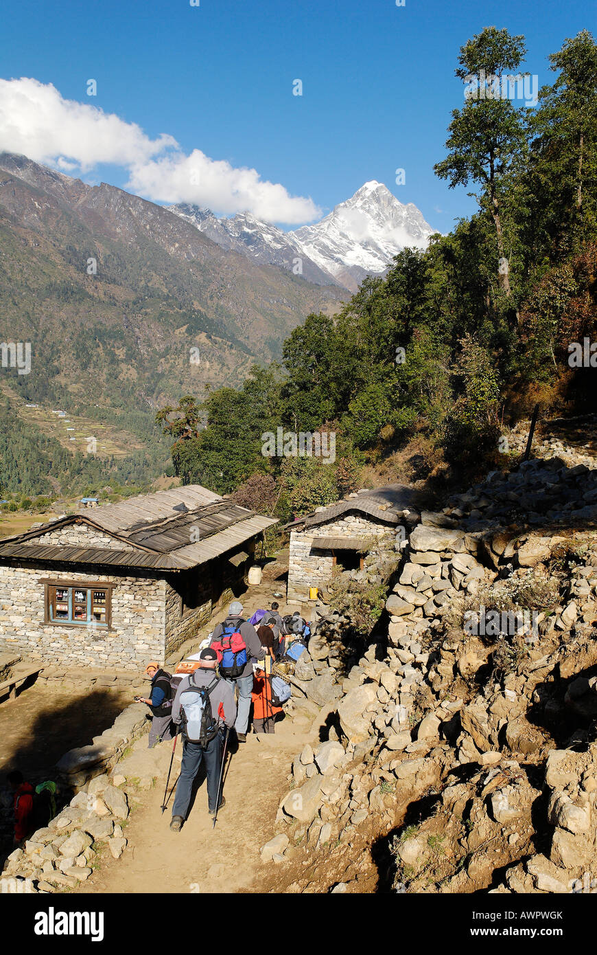 Dudh Koshi valley, Solukhumbu, Khumbu, Mount Everest region, Nepal Stock Photo