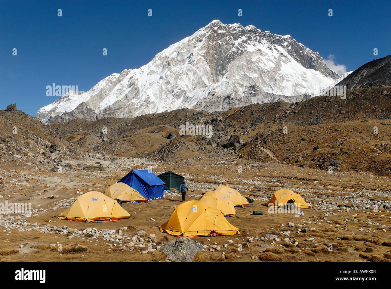 Tent camp at the Sherpa village of Lobuche with Nuptse (7861), Sagarmatha National Park, Khumbu Himal, Nepal Stock Photo