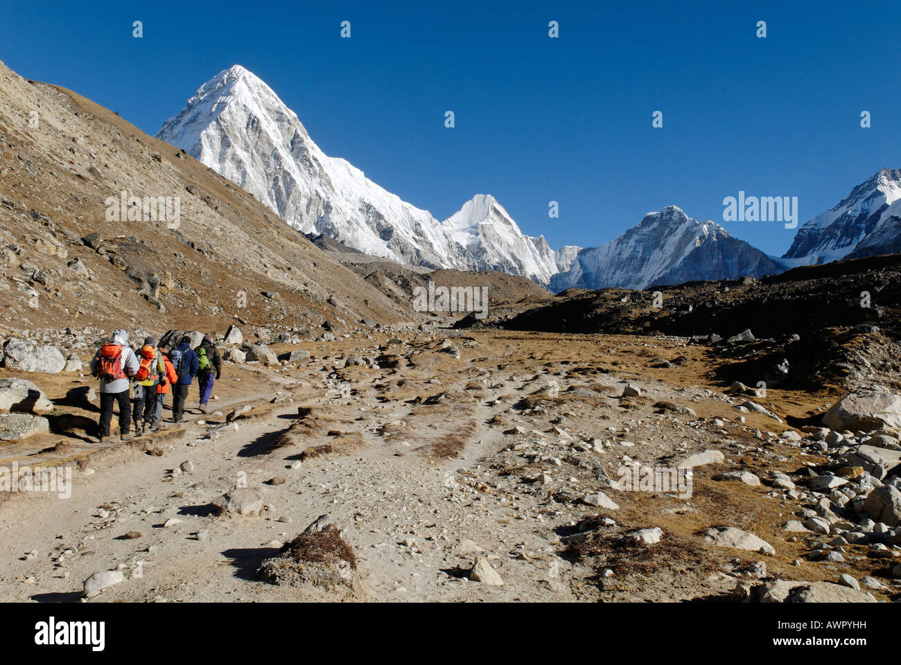 Trekking group on Khumbu glacier with Pumori (7161), Khumbu Himal, Sagarmatha National Park, Nepal Stock Photo