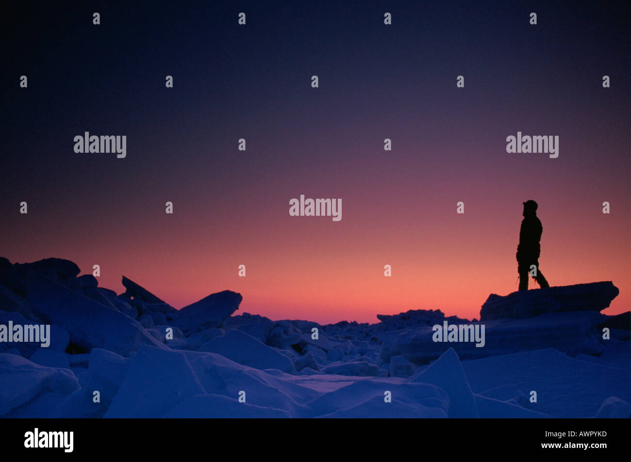 Sea ice near Barrow Alaska Stock Photo - Alamy