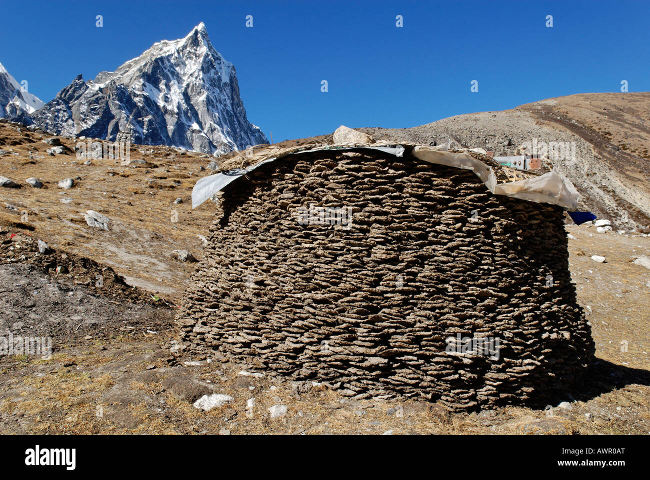 Heap of yak dung as heating material, Khumbu Himal, Sagarmatha National Park, Nepal Stock Photo