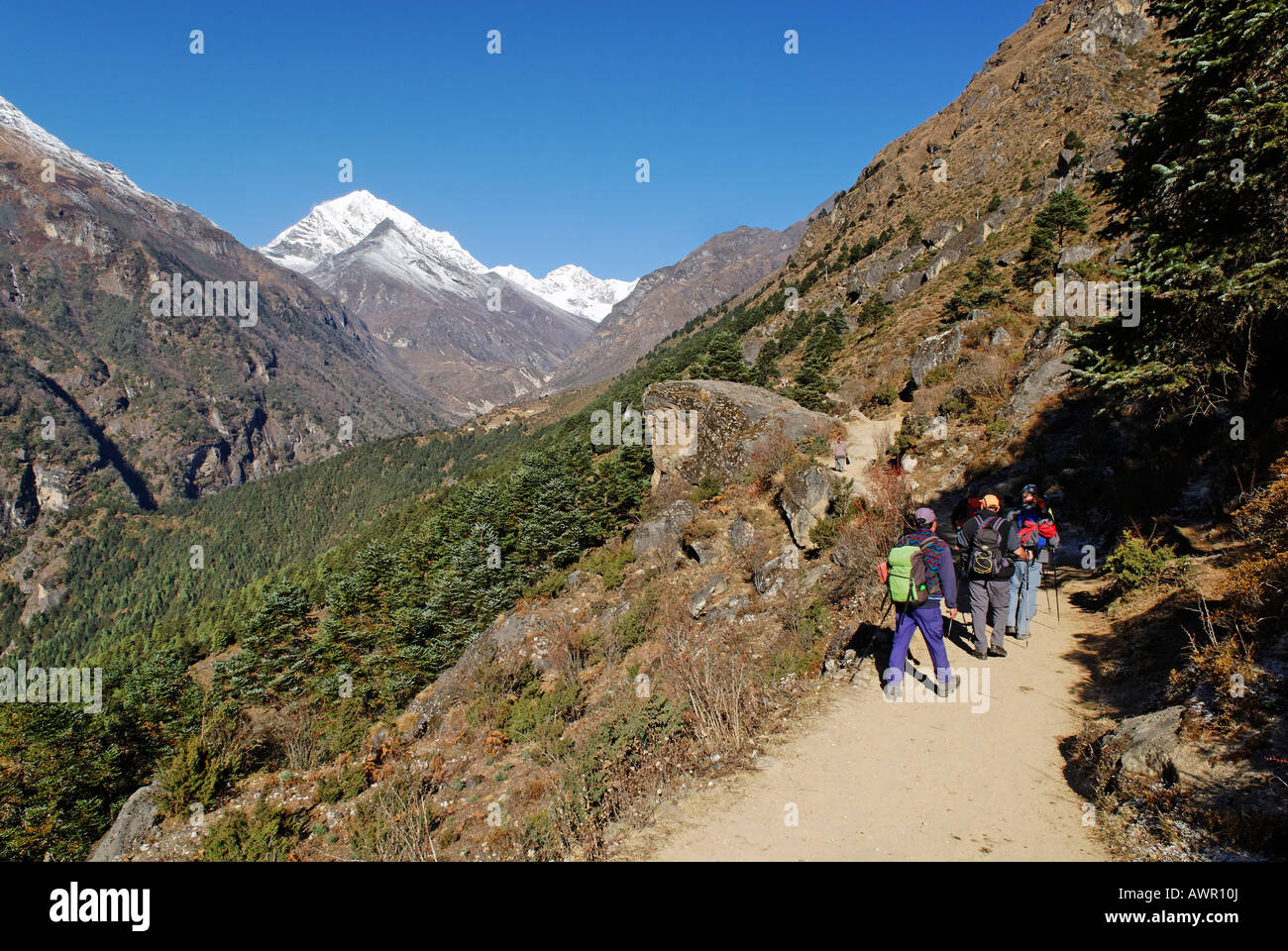 Trekking group at Bhote Koshi valley, Sagarmatha National Park, Khumbu, Nepal Stock Photo