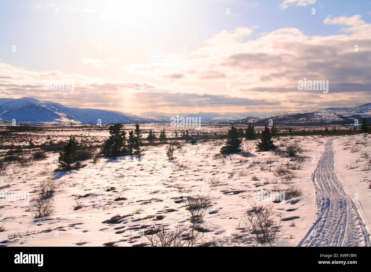Winter landscape, tundra plateau, sled tracks, Yukon Territory, Canada Stock Photo