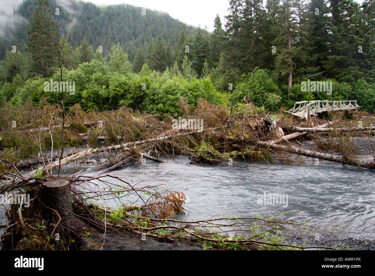 Broken bridge, high water and tree trunks, Kenai Peninsula, Alaska, USA