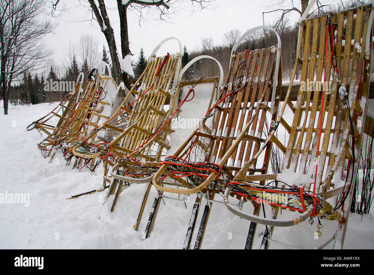 Wooden dog sleds standing in a row, Québec, Canada Stock Photo Alamy