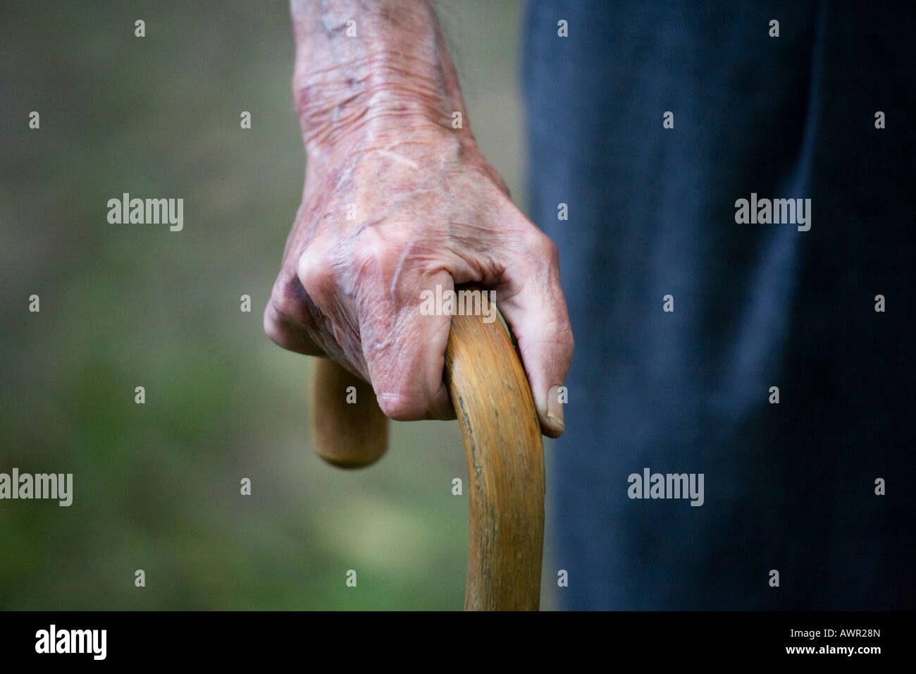 Elderly person's hand resting on a cane, geriatric care Stock Photo
