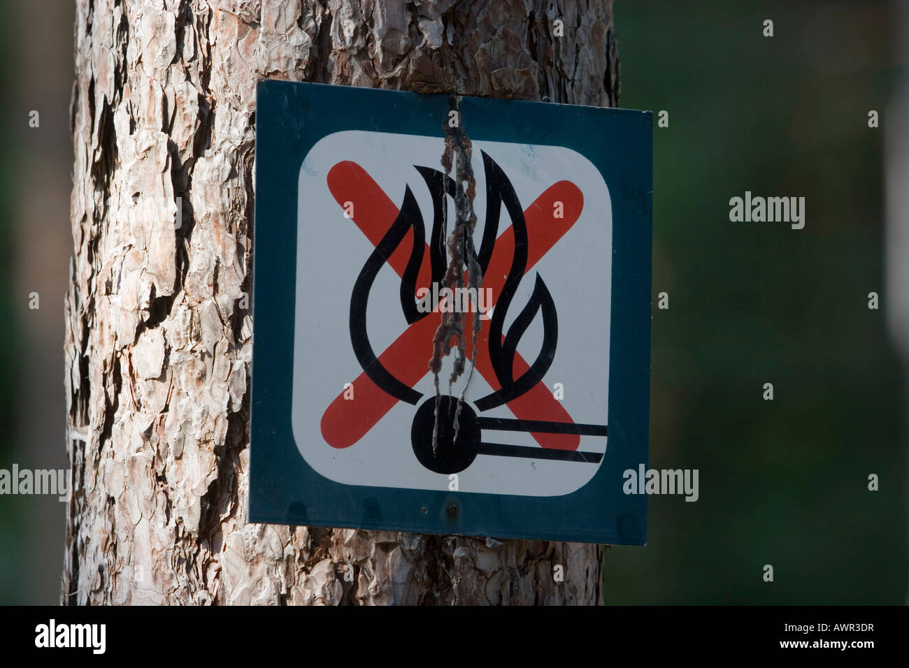Indication sign, lighting a fire prohibited, Slovakia Stock Photo
