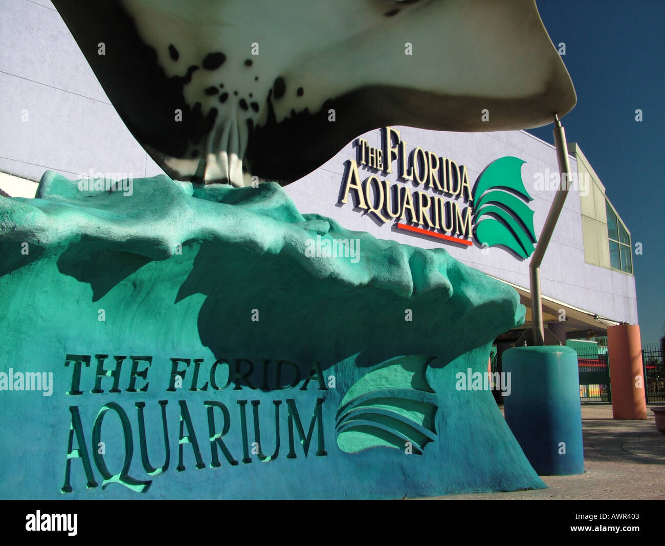 Clearwater marine aquarium florida hires stock photography and images