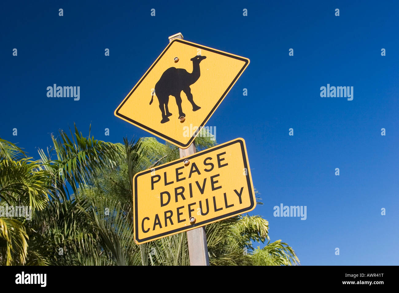 Sign, Please Drive Carefully, camels, Broome, Western Australia, WA, Australia Stock Photo