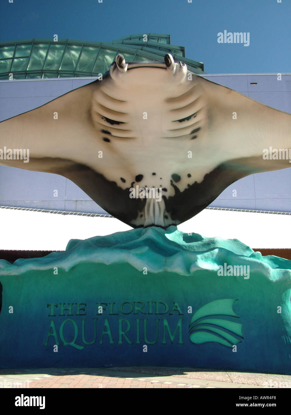 Clearwater marine aquarium florida hires stock photography and images