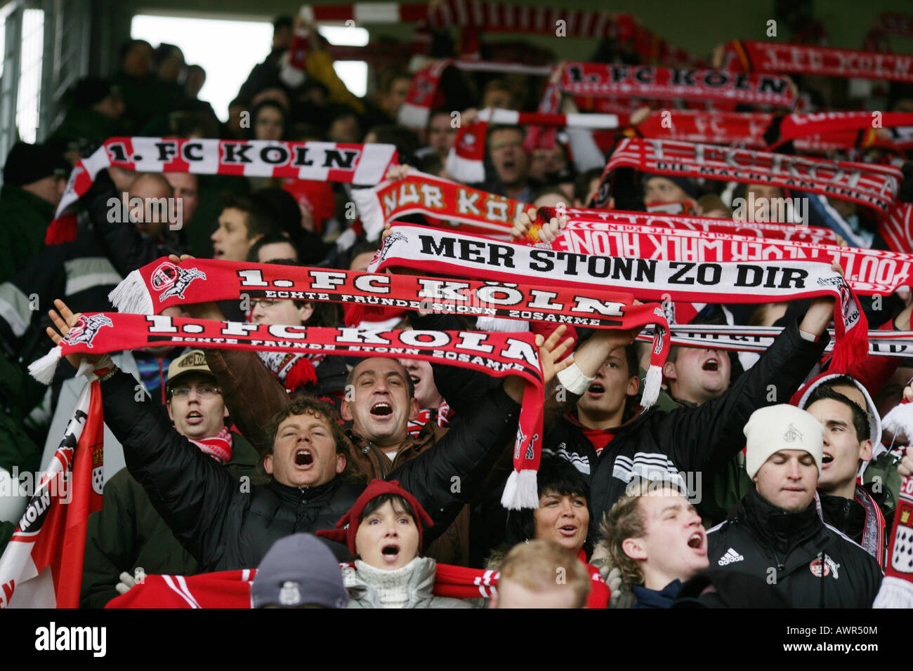 Fans jelling for the german soccer club 1. FC Koeln Stock Photo