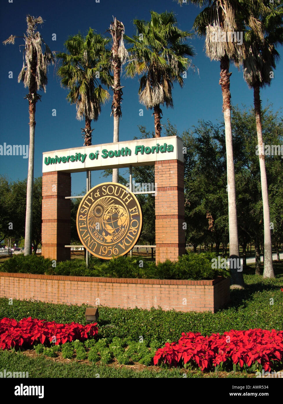 University of south florida tampa hires stock photography and images