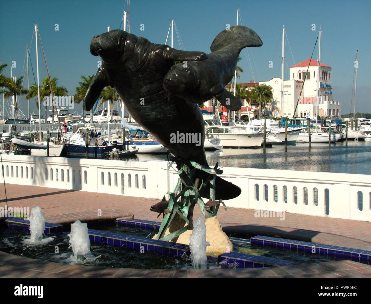Manatee river dolphin hires stock photography and images Alamy