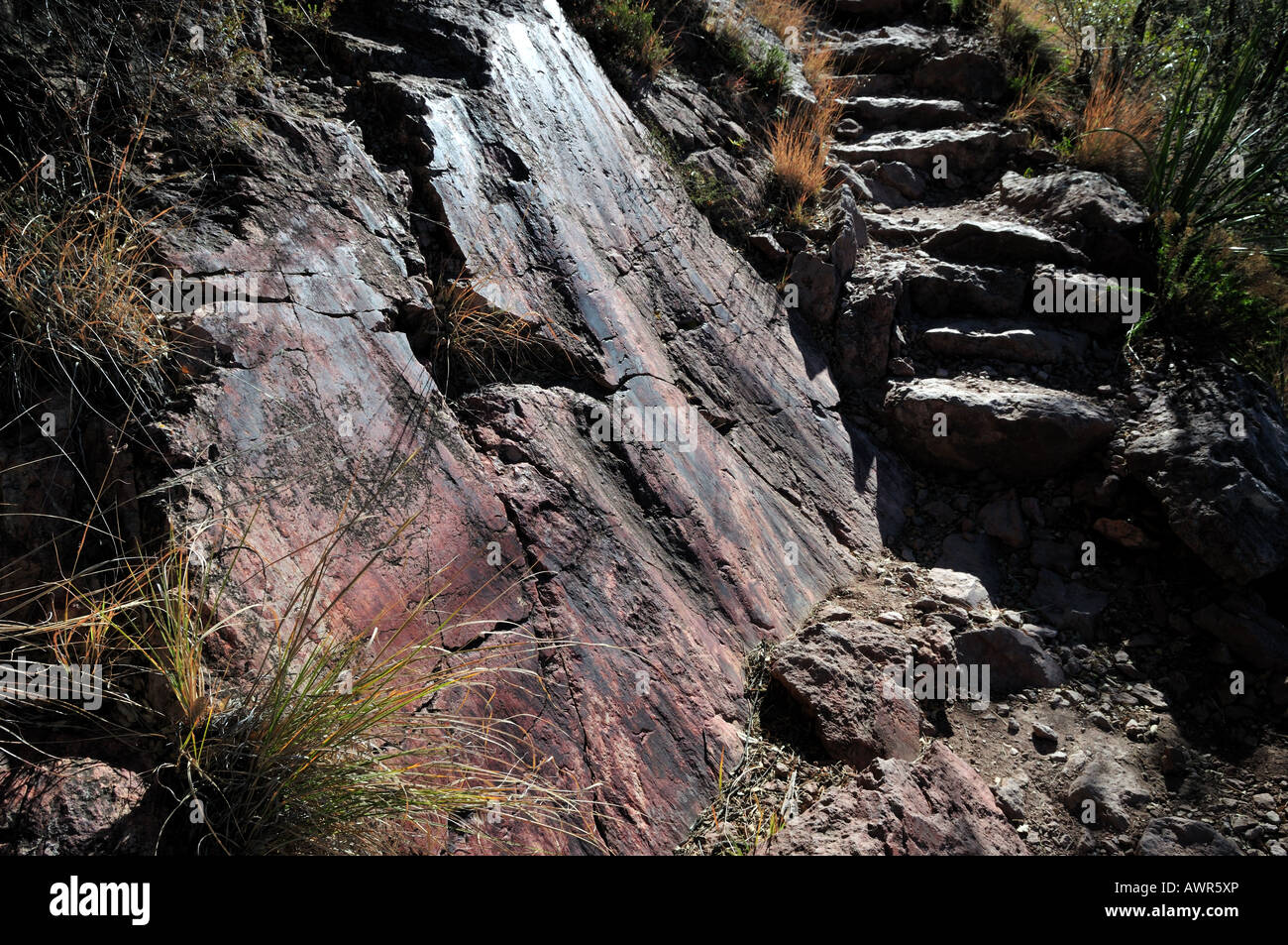 Slickensides on a fault surface Stock Photo - Alamy
