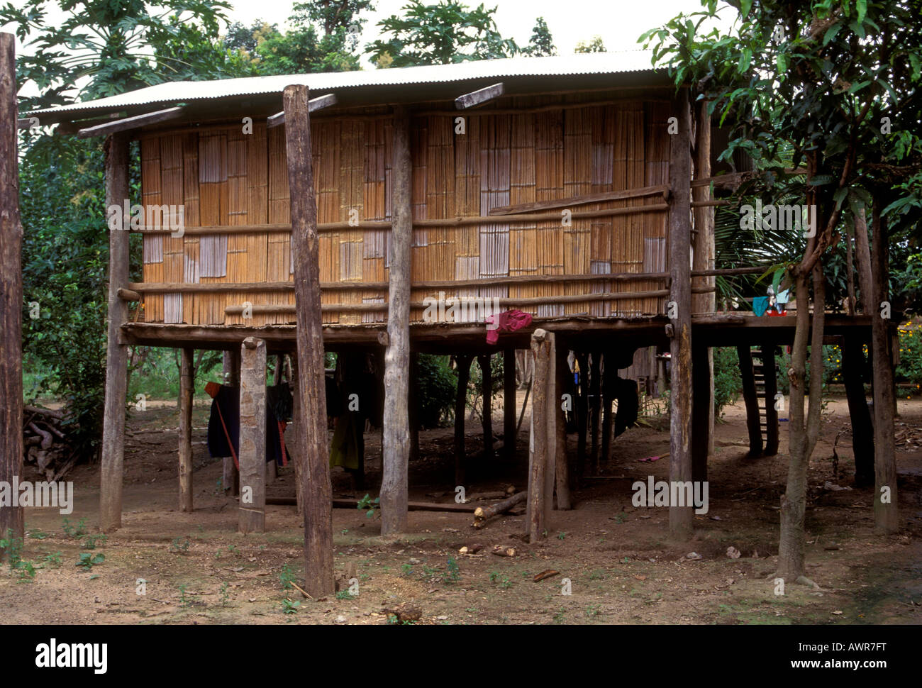 bamboo home on stilts, bamboo house on stilts, family settlement, Lisu