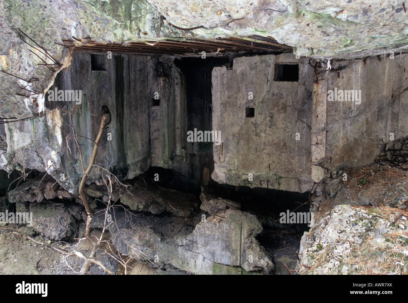 Molotov line , bunker after explosion , East Roztocze Region Eastern Poland Europe Stock Photo