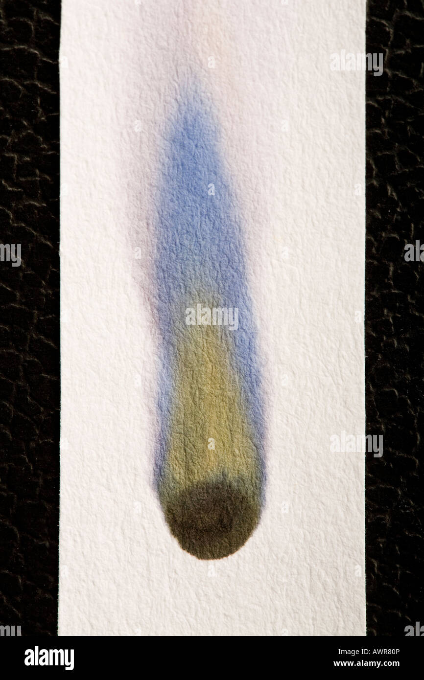 Black Ink Chromatography