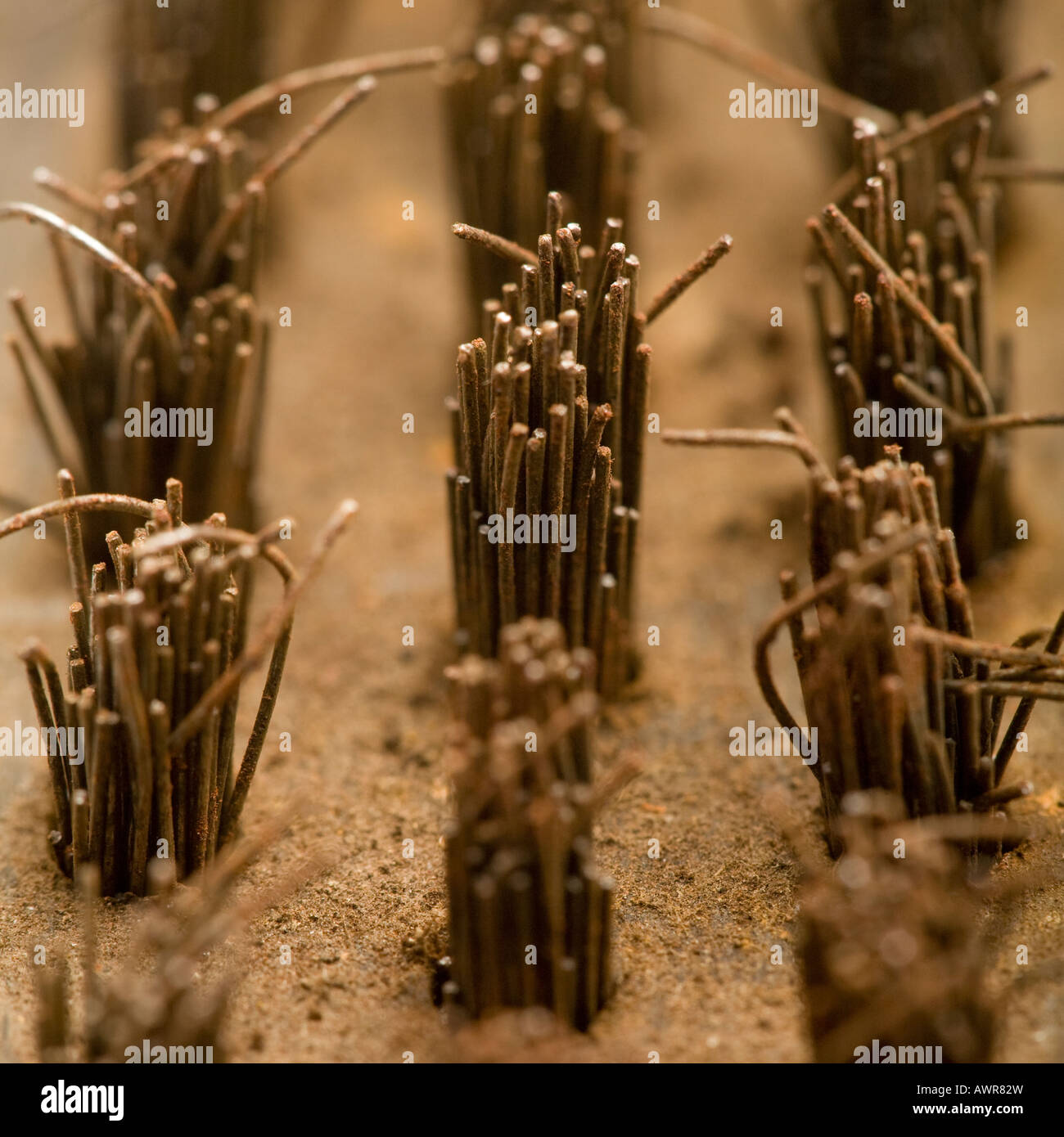 Wire Brush Bristles Stock Photo Alamy