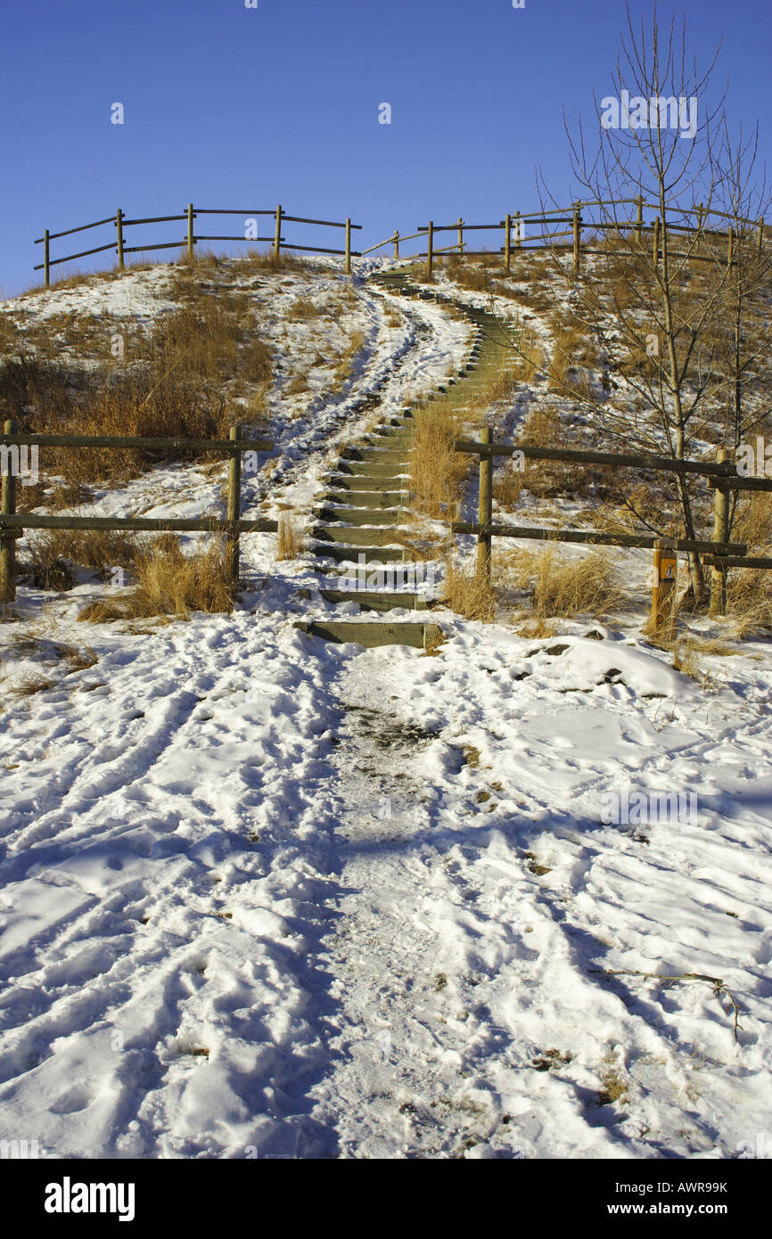 Snowy park in Calgary, Alberta Stock Photo