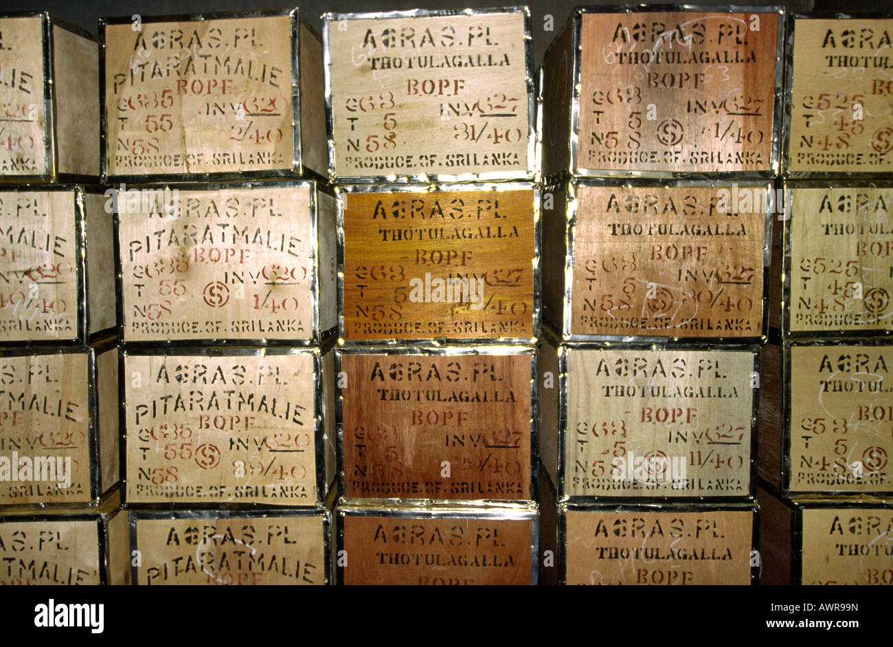 Sri Lanka Trotulagalla Pitaratmalie Tea Factory tea chests awaiting