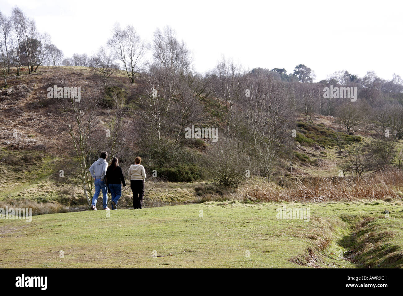 Walkers on Cannock Chase, Staffordshire Stock Photo