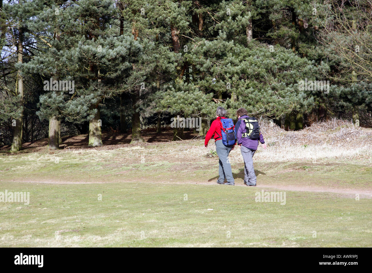 A pair of walkers with rucsacs, on Cannock Chase in Staffordshire. Stock Photo
