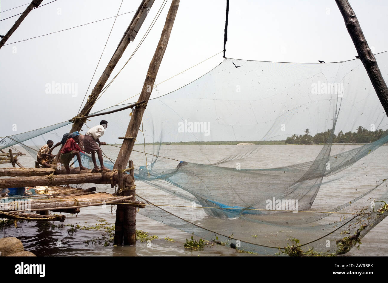 Local Keralite fishermen raising a Chinese Fishing Net Cheenavala