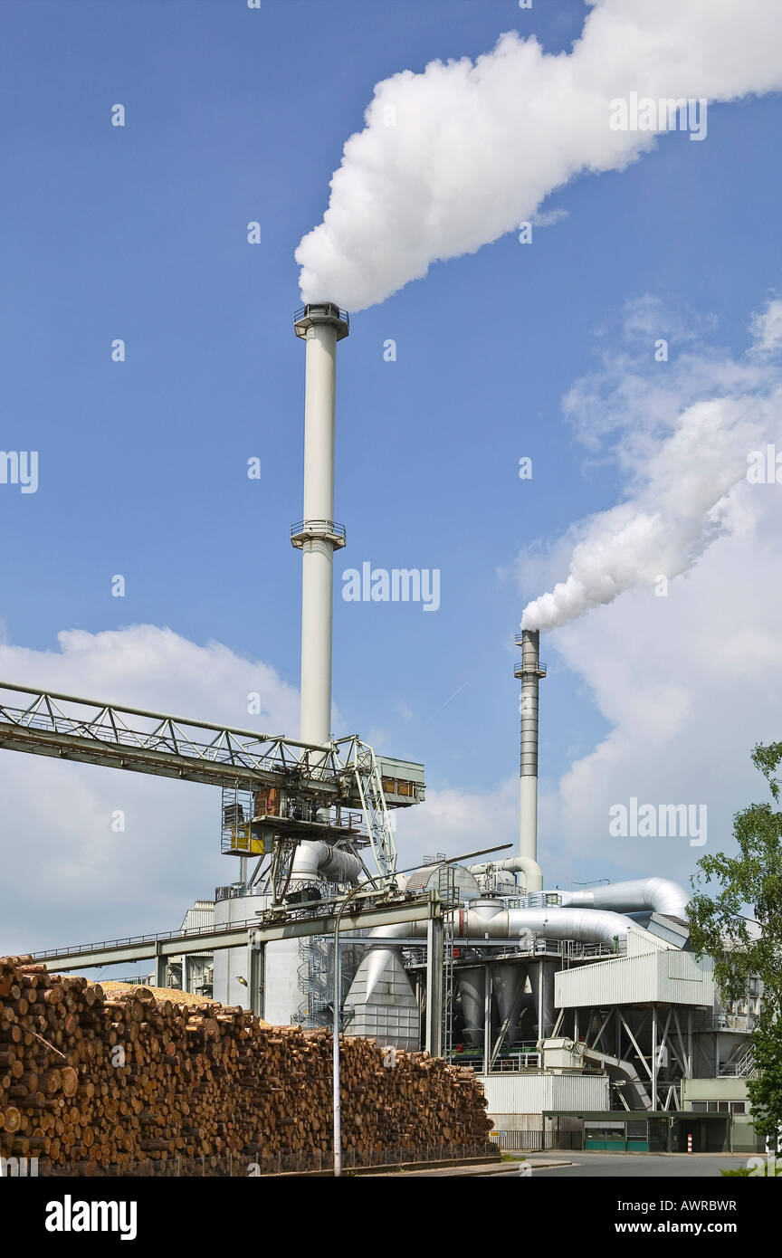 plant chimney power paper wood technology steam pipe industry woods environmental Stock Photo