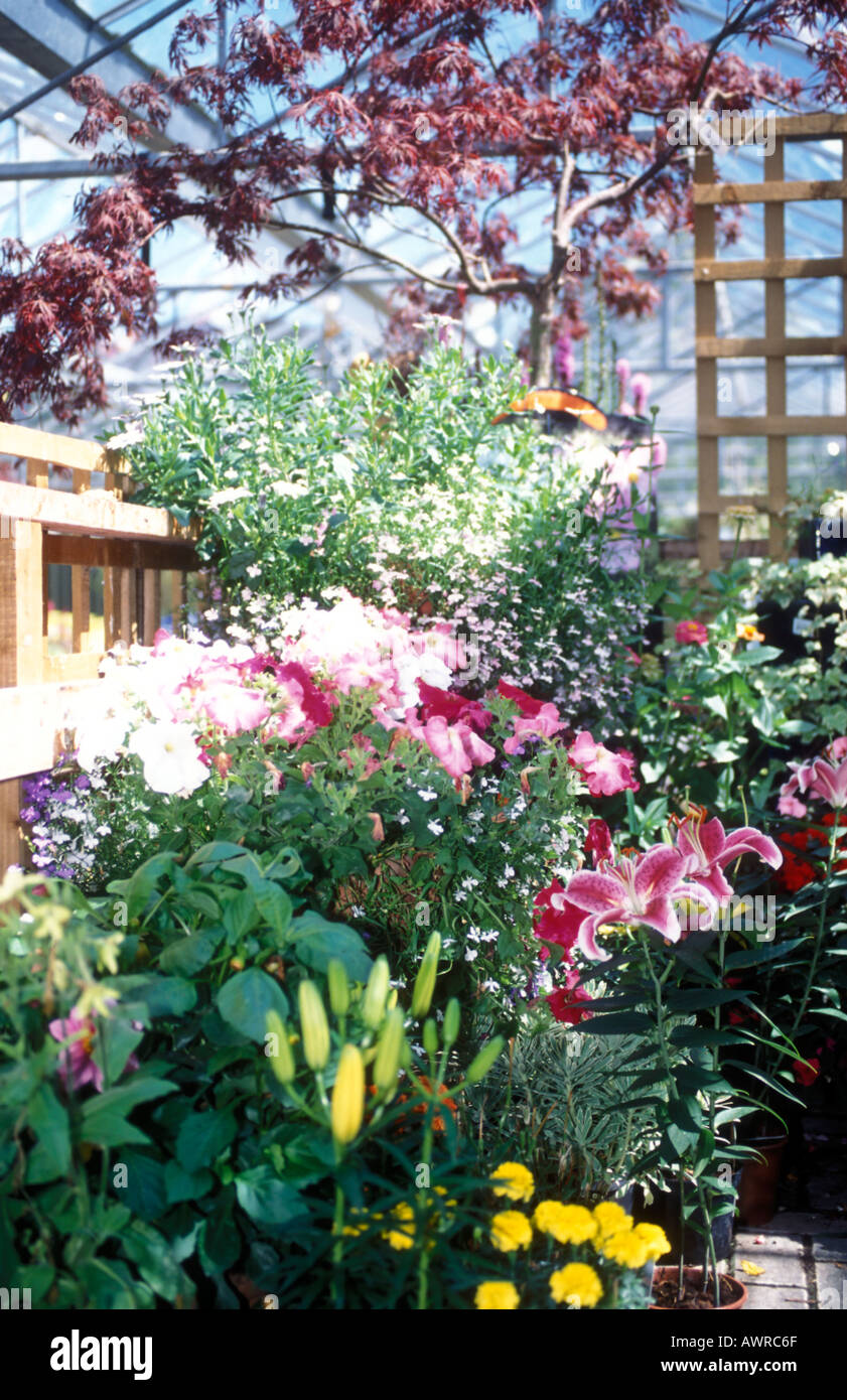Trellis garden hi-res stock photography and images - Alamy