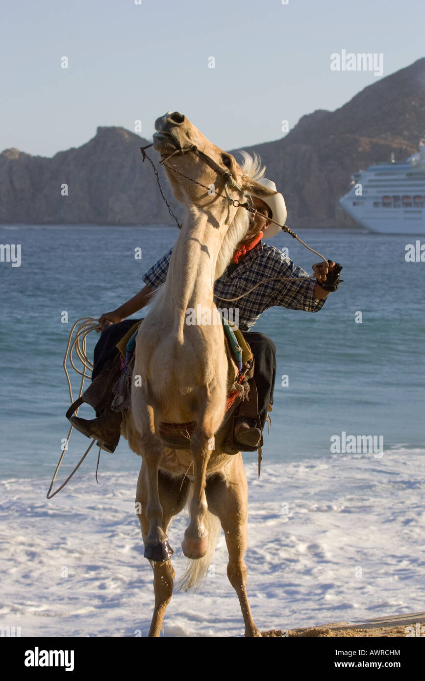Horse rearing cowboy hi-res stock photography and images - Alamy