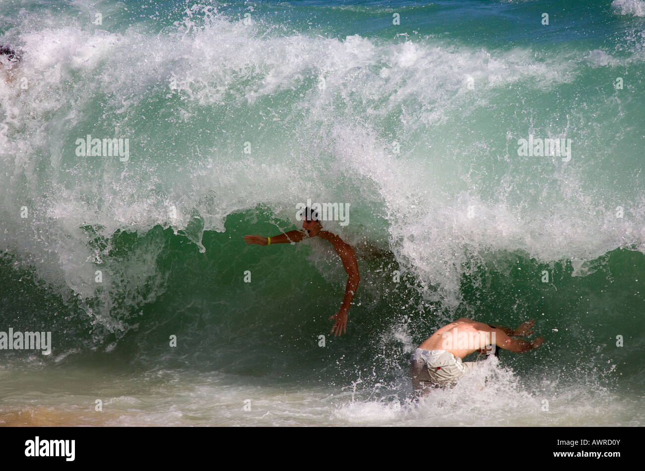 Swimmers Being Wiped Out by Large Wave Stock Photo