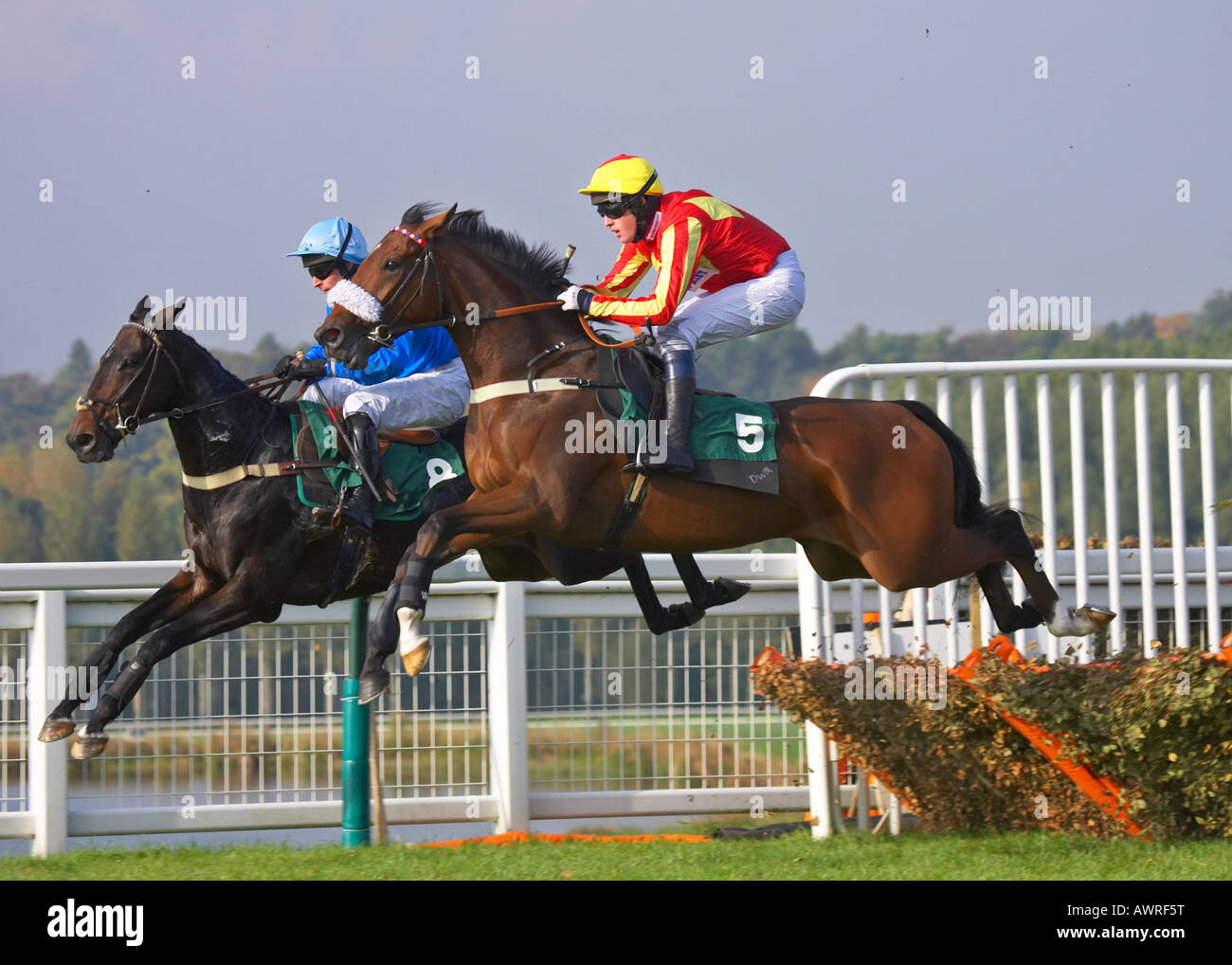 Towcester horse hires stock photography and images Alamy