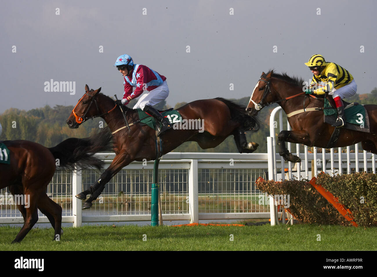 Horse racing at Towcester, Northamptonshire Stock Photo