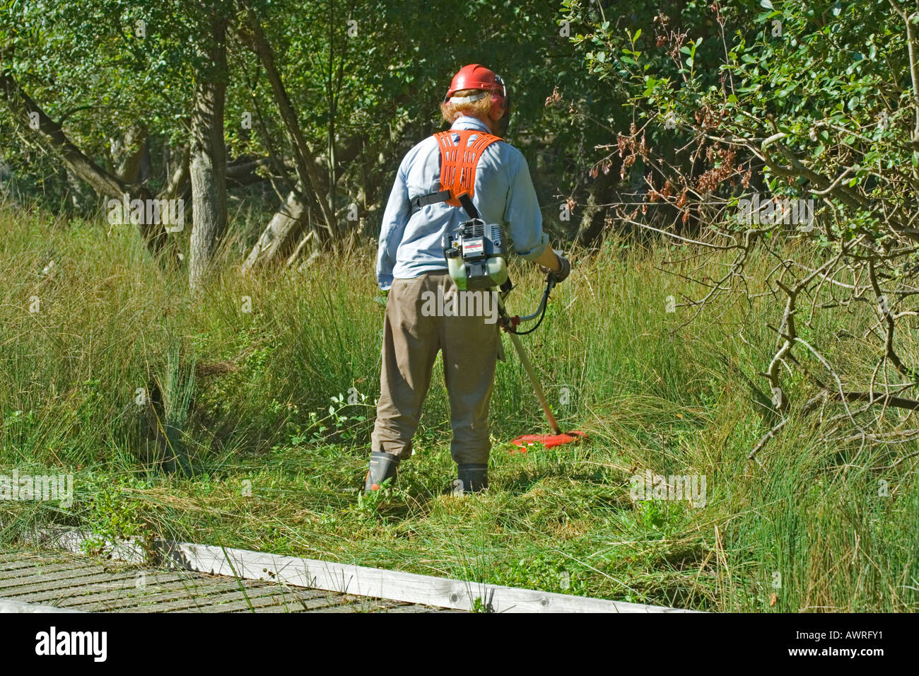 Man cutting grass using Strimmer, Dorset, UK Stock Photo Alamy
