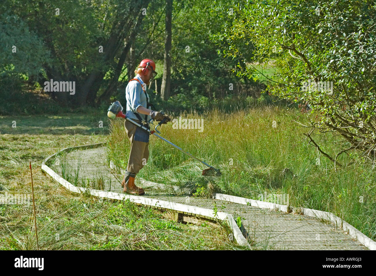 Strimmer strimming grass cutting hires stock photography and images